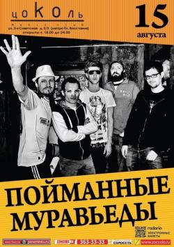 Пойманные муравьеды